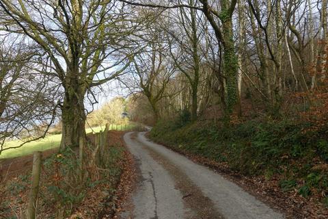 Woodland for sale, Dol Llan Wood, near Llandysul, Carmarthenshire SA44