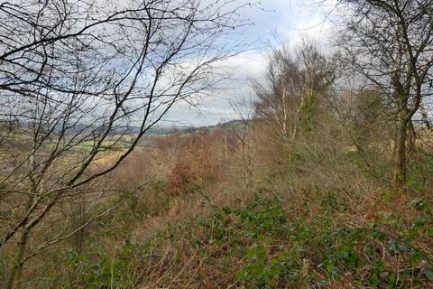 Woodland for sale, Dol Llan Wood, near Llandysul, Carmarthenshire SA44