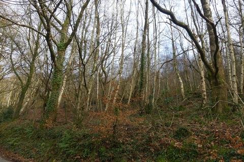 Woodland for sale, Dol Llan Wood, near Llandysul, Carmarthenshire SA44