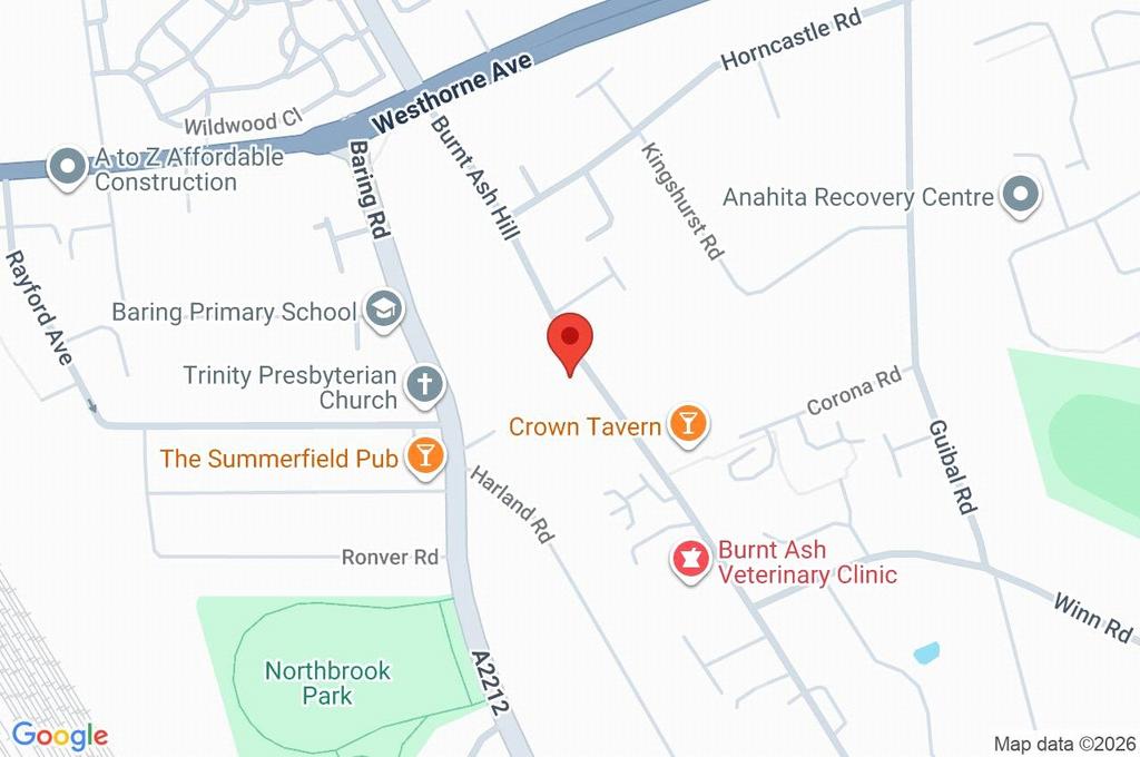 Google Maps Image