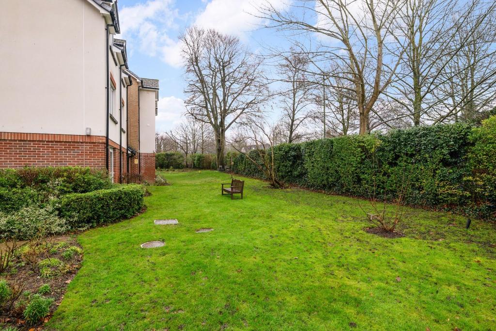 Delacy court