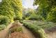 Additional image 23 of Cambridge Road, Quendon, Saffron Walden, Essex