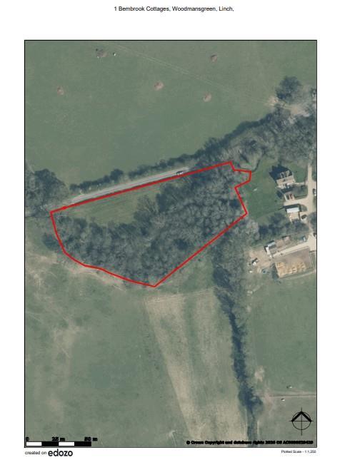 Edozo map aerial view.jpg