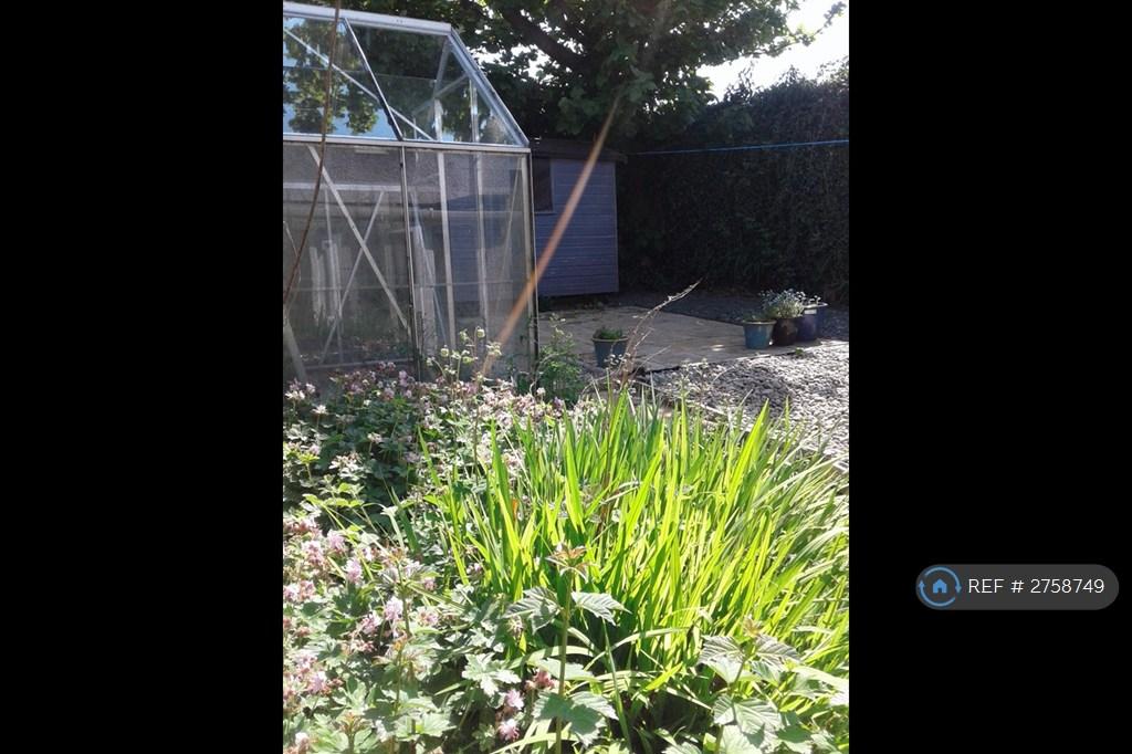 Rear Landscaped Garden With Green House And Shed.
