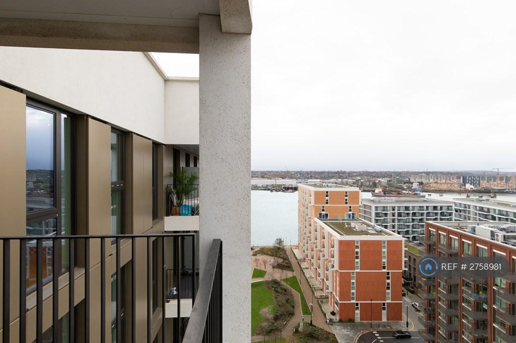Unbridled Views Of River And City