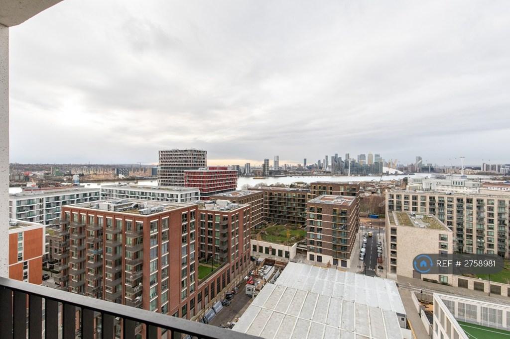 Unbridled Views Of River And City
