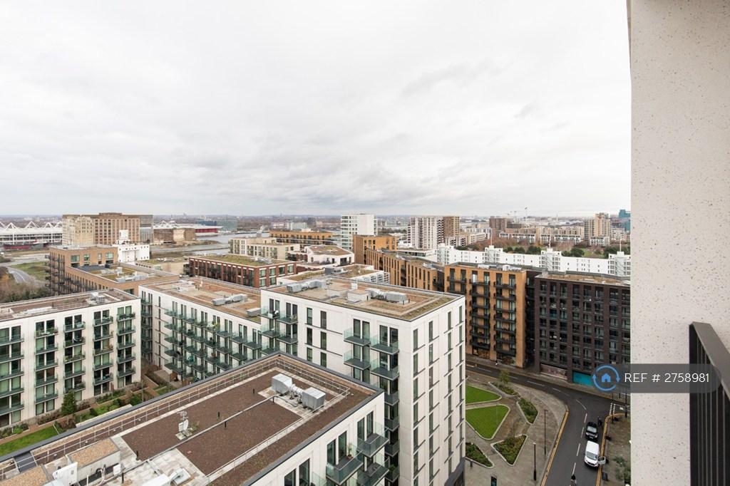 Unbridled Views Of River And City