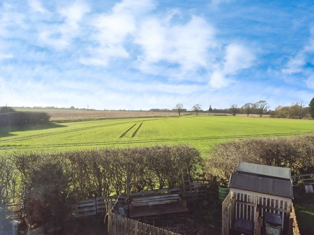 Field View