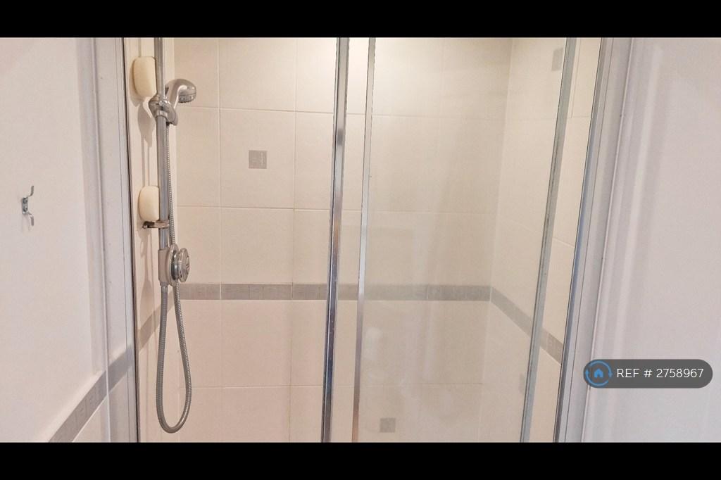 Ensuite Digital Shower