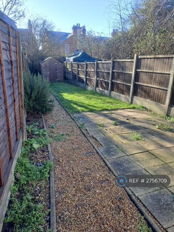 Garden With Shed