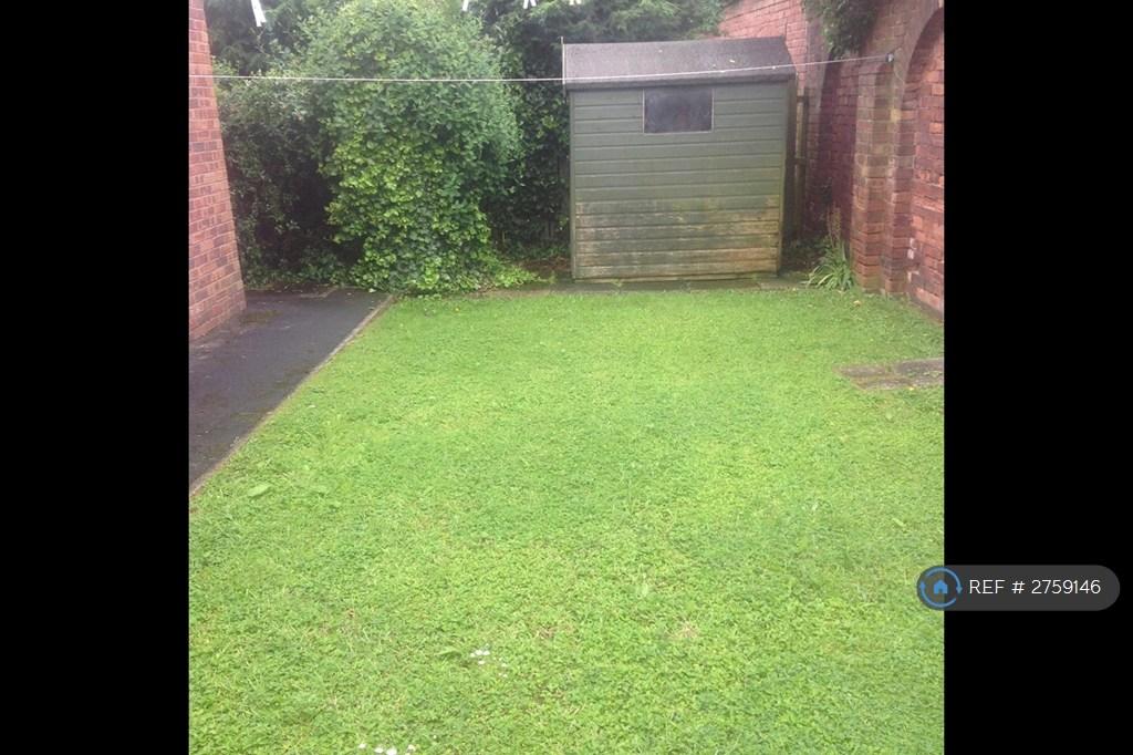 Garden Back Pic 2