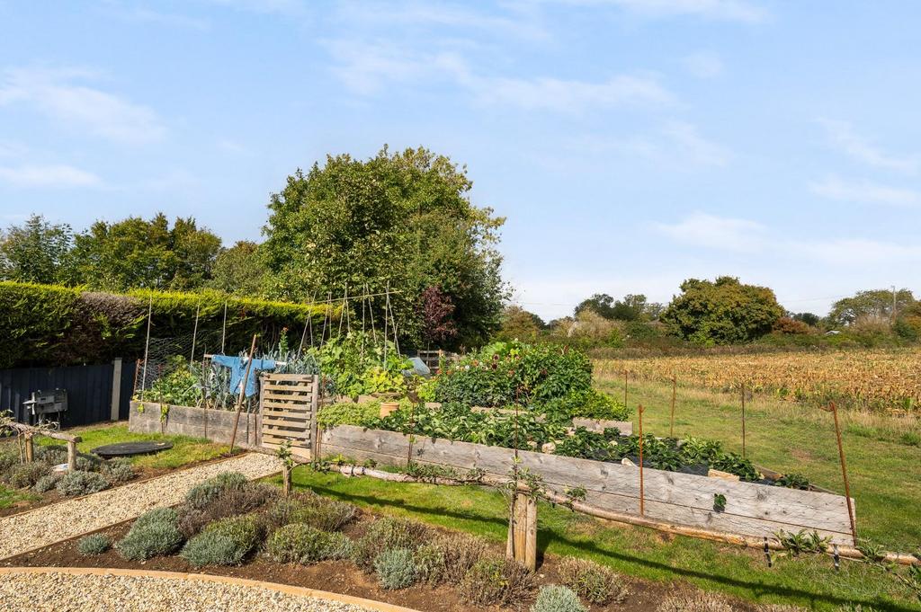 Vegetable Garden