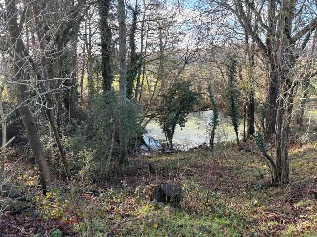 Pond