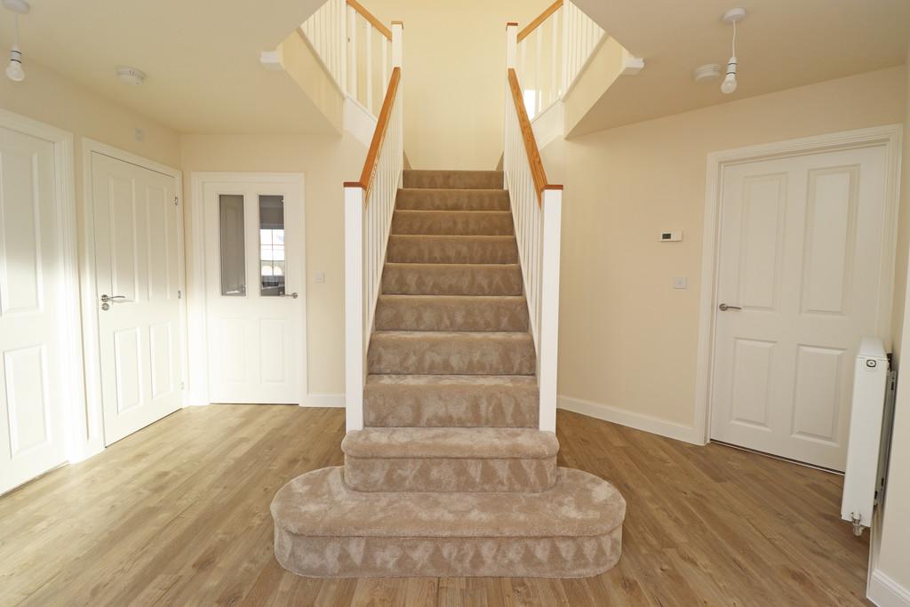 Img 7897
