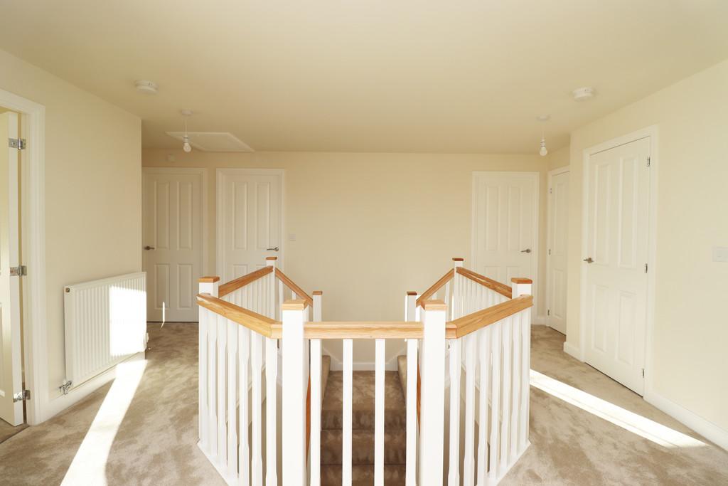 Img 7862