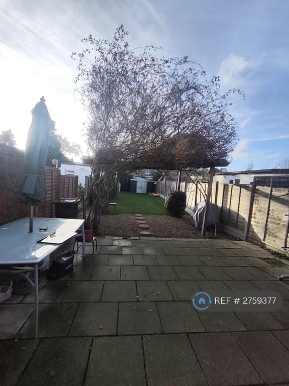 Back Garden