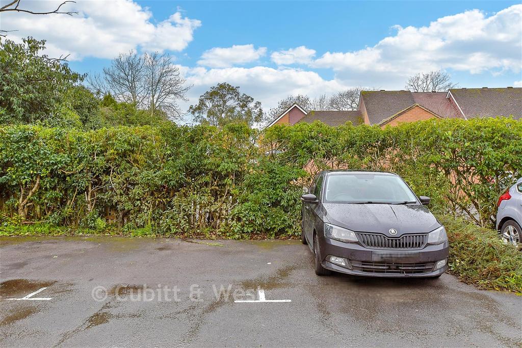 Driveway/Parking