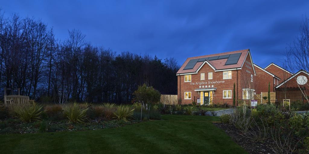 Dusk Photography