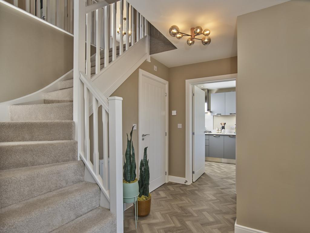 Showhome Photography