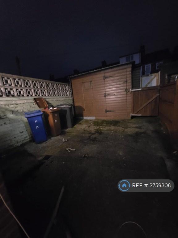 Back Yard Area