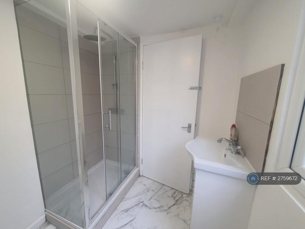 Downstairs Shower 1