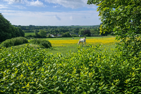 3 bedroom equestrian property for sale, Dover CT15