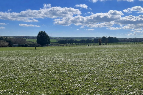 3 bedroom equestrian property for sale, Dover CT15