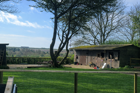 3 bedroom equestrian property for sale, Dover CT15
