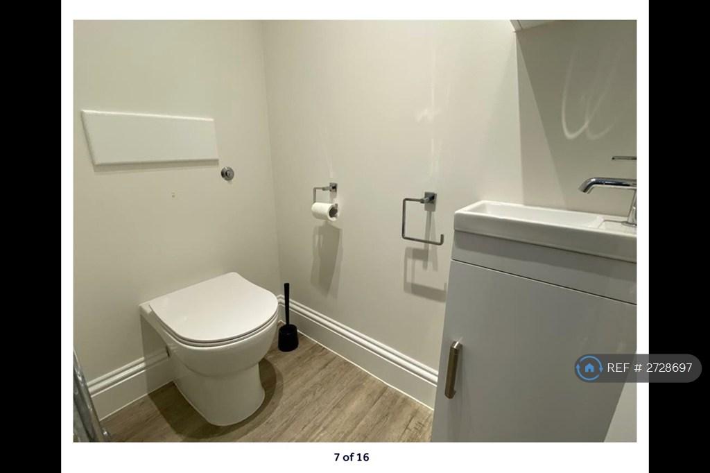 Extra Toilet