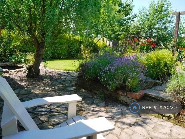 Back Garden