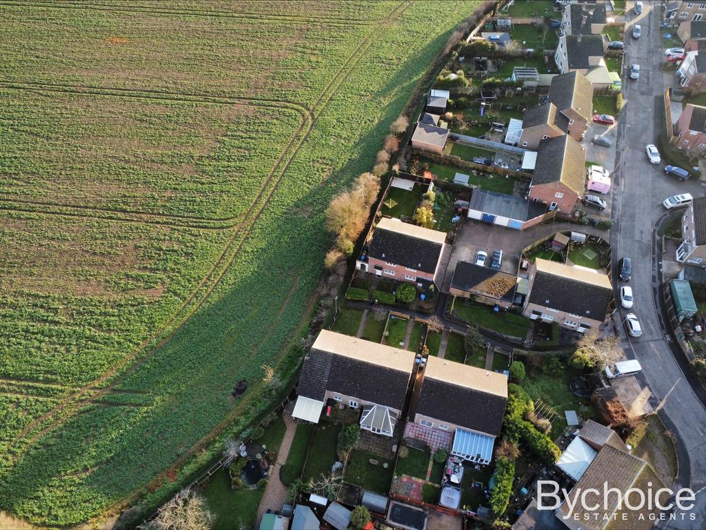 7 the pippins fields.jpeg
