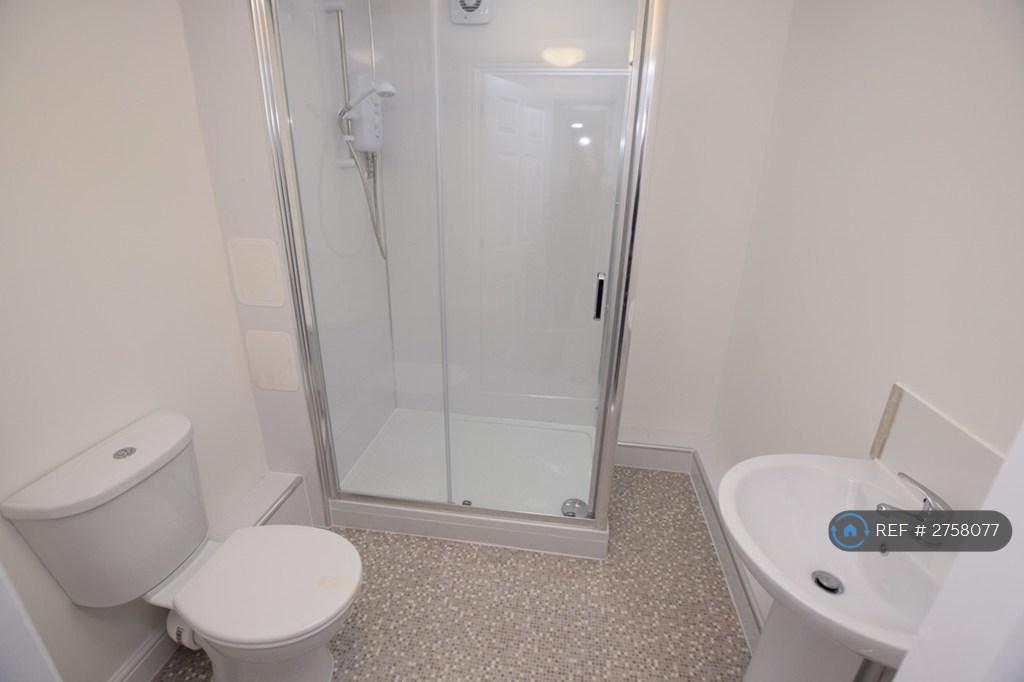 Walk In Shower