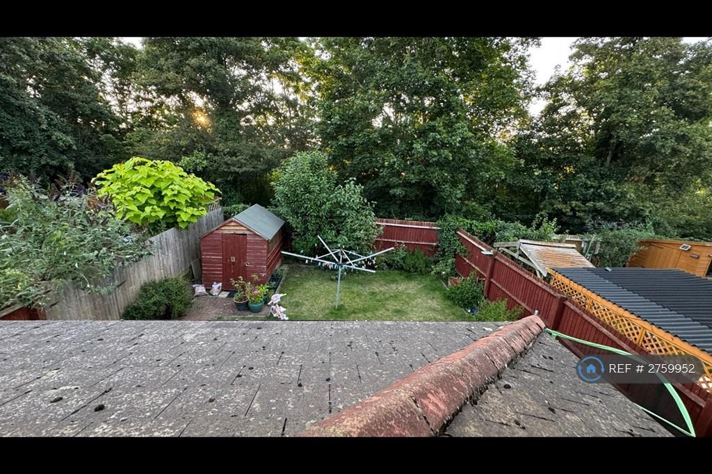 Back Garden