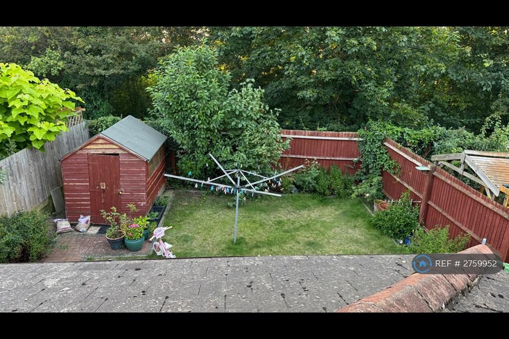 Back Garden