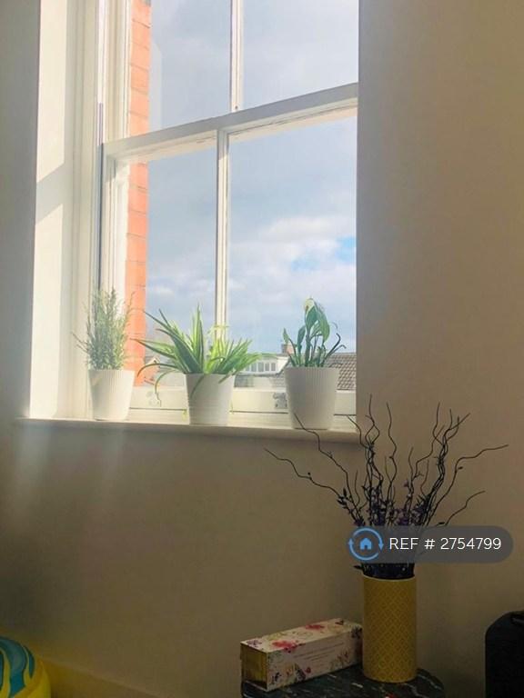 View - First Floor