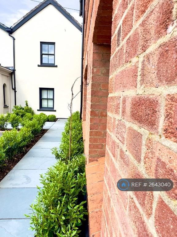 Paving Areas And Shrubs