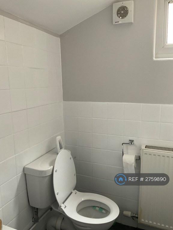 The Shared Bathroom