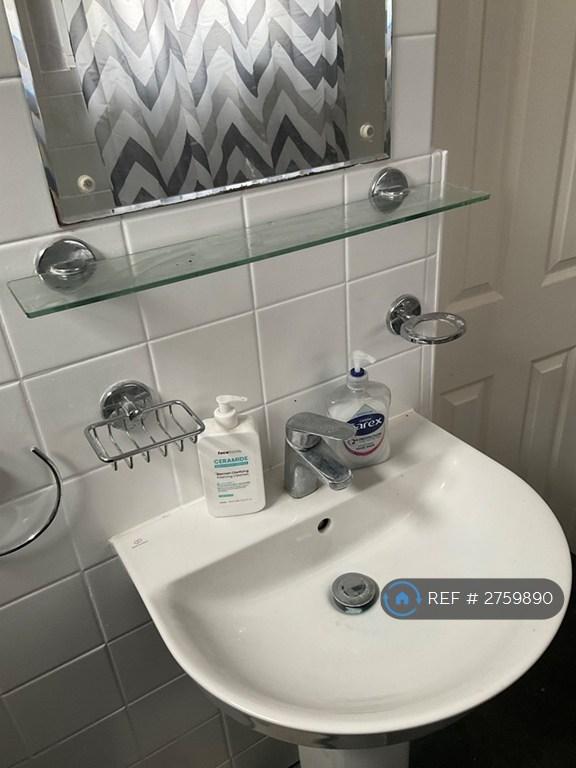 The Shared Bathroom