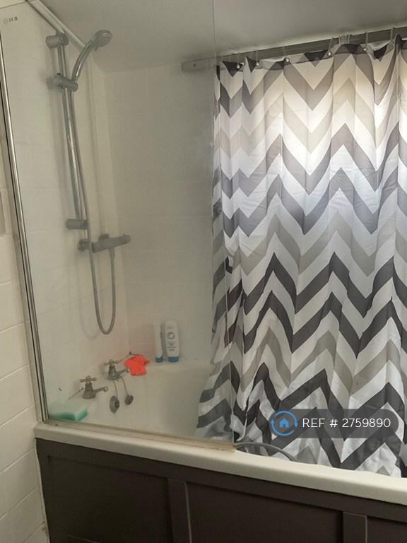The Shared Bathroom Has a Shower