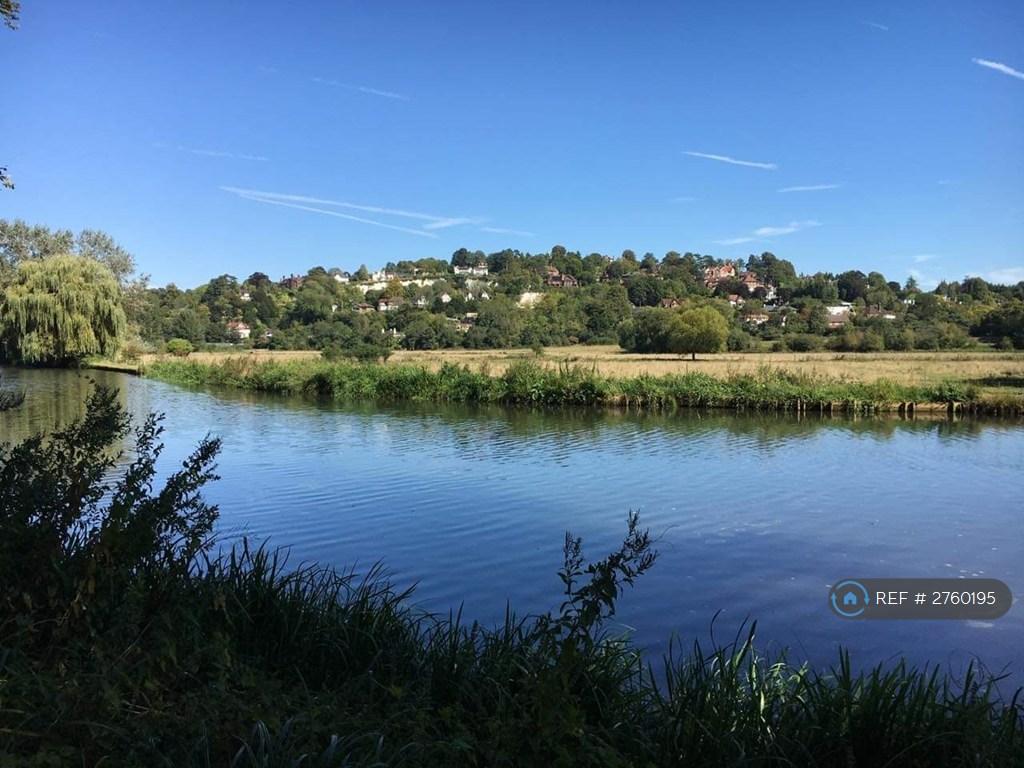 River Wey Walks Nearby