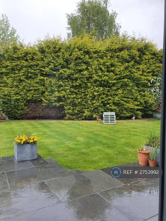 The Garden