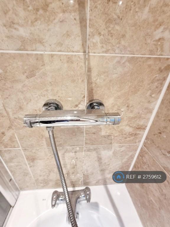 Thermostatic Shower