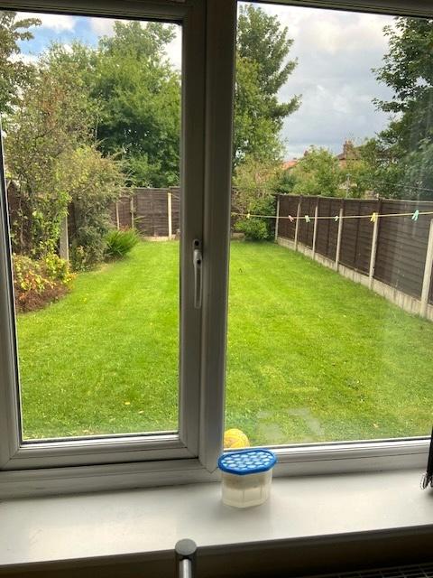 Well-kept rear garden with a neat lawn, bordere...