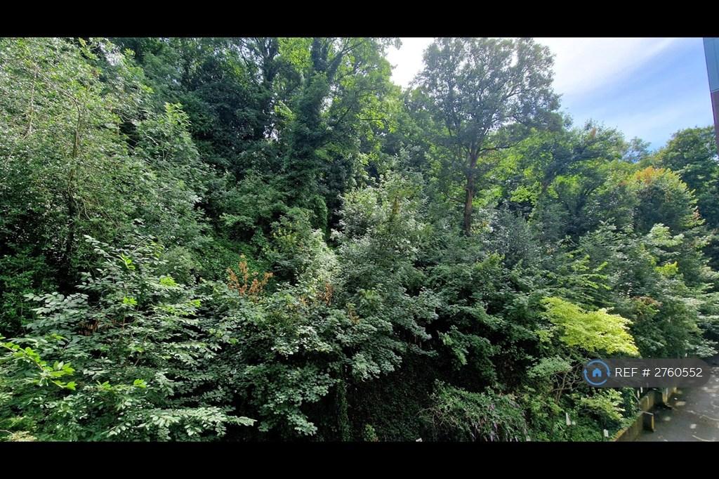 View From Balcony