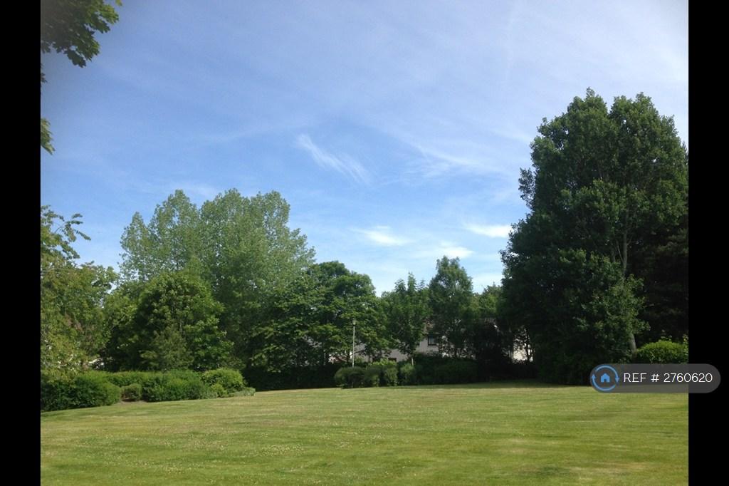 Landscaped Surroundings