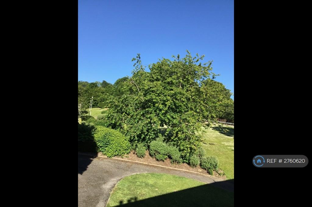 View From Bedroom And Kitchen