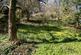 Additional image 9 of Tregarland Bridge, Cornwall PL13