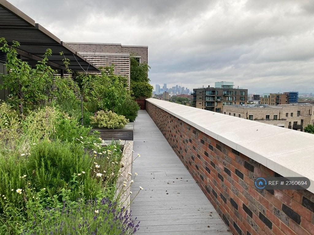 Roof Garden