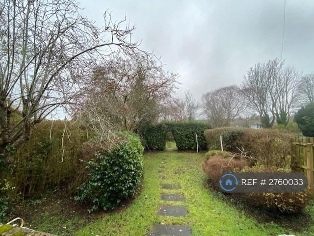 Back Garden