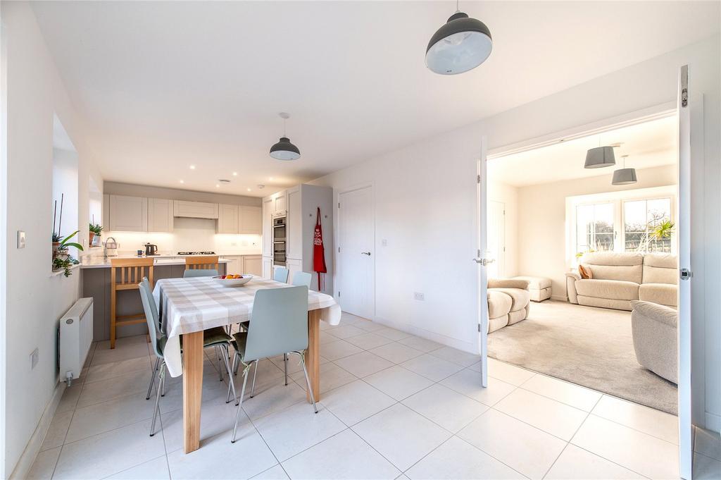 Picture 31